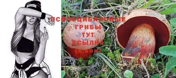 шишки Новокубанск