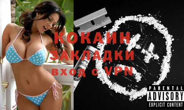 шишки Новокубанск