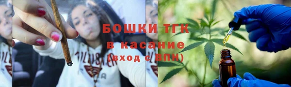 ГАЛЛЮЦИНОГЕННЫЕ ГРИБЫ Новозыбков