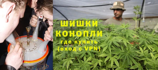 шишки Новокубанск