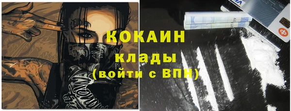 ГАЛЛЮЦИНОГЕННЫЕ ГРИБЫ Новозыбков