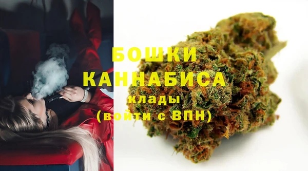 шишки Новокубанск