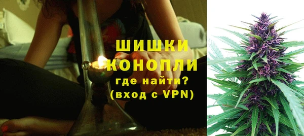 шишки Новокубанск