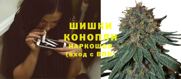 альфа пвп Новодвинск